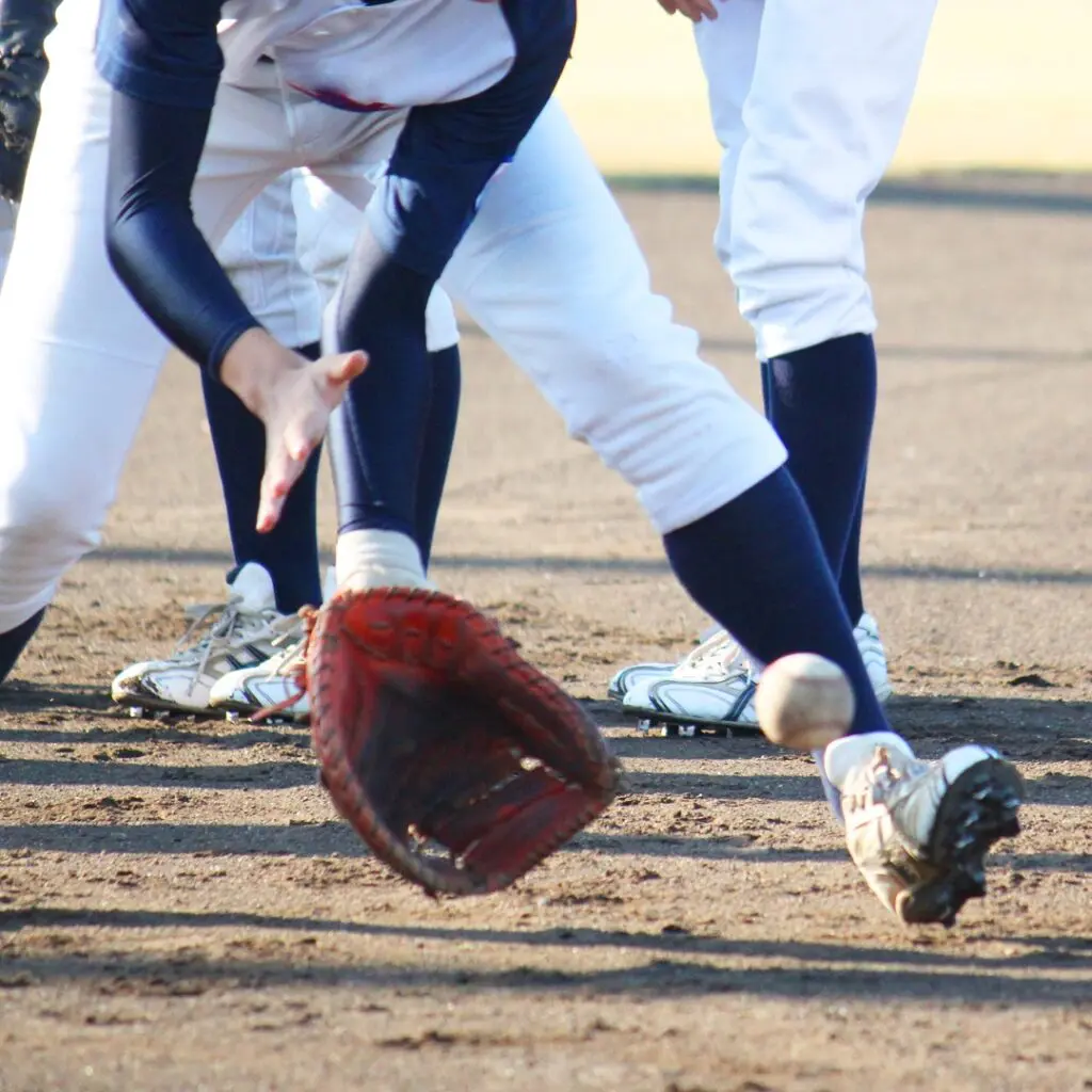 IMG_2306-1-1024x1024.jpeg.webp