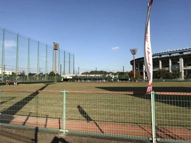 プロ野球秋季キャンプ攻略法！練習メニューと成長の秘訣